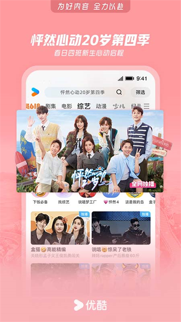 优酷华为定制版