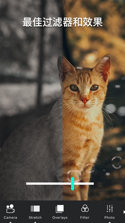 Vimage无限解锁版无限内购