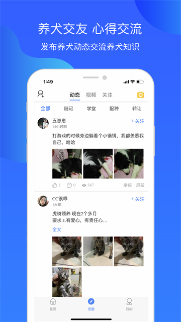 犬卫士app