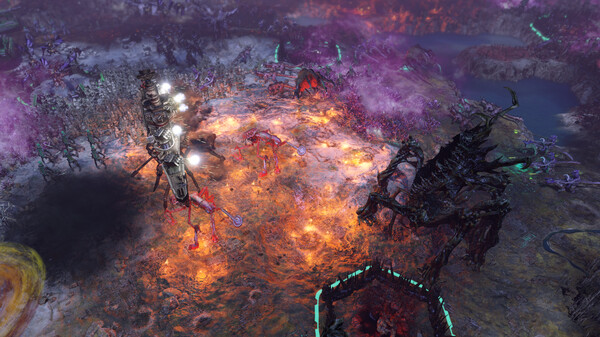 泽丰全DLC电脑版