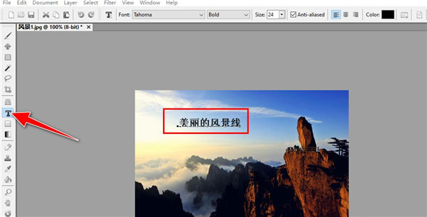 Artweaver数字绘画软件