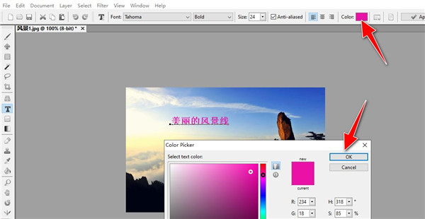 Artweaver数字绘画软件