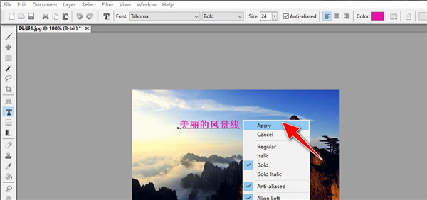 Artweaver数字绘画软件