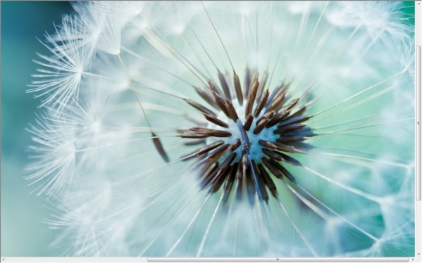 AllPicDownloader(ALL网站图片批量下载器)