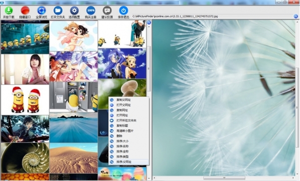 AllPicDownloader(ALL网站图片批量下载器)