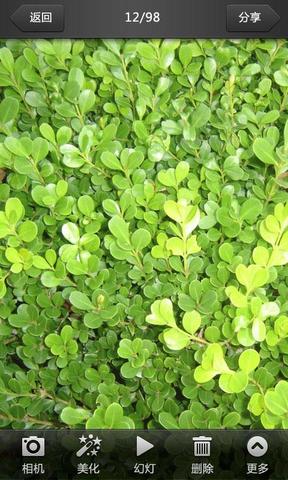 美图看看手机APP