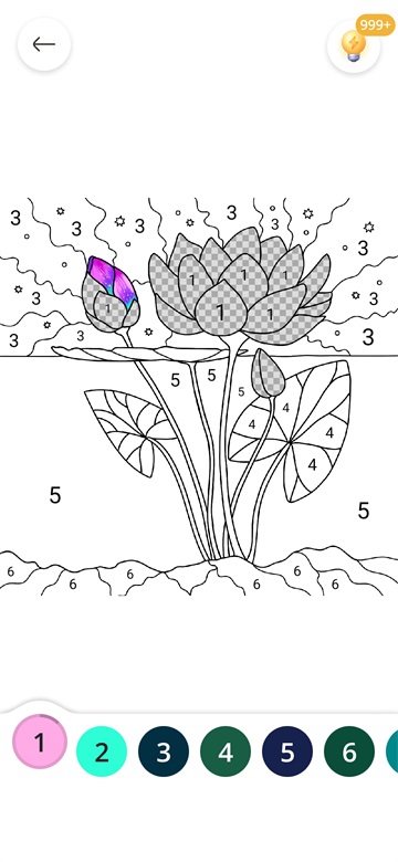 乐涂数字填色内购无限钻石版