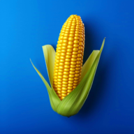 我的农场无限金币免广告版 v3.27.0最新版