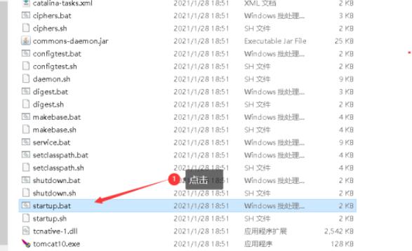 Apache Tomcat 11(安装+绿色版)