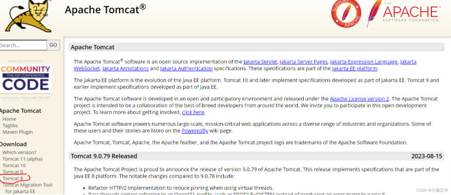 Apache Tomcat 11(安装+绿色版)