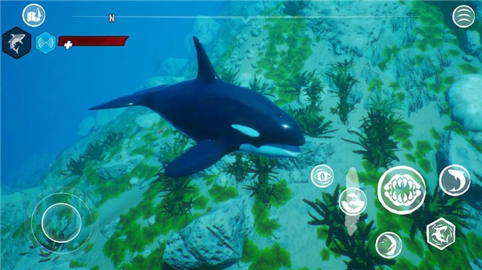 食人鲨游戏手机版