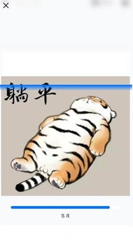 PicWish佐糖app官方版