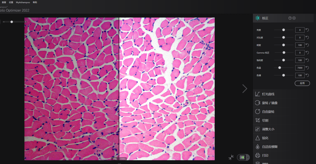 Ashampoo Photo Optimizer 2026图片智能优化