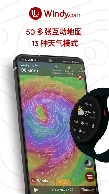 Windy破解VIP免费版