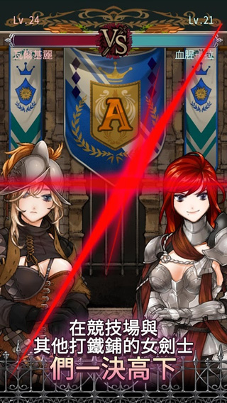 女剑士的秘密日记无限材料版