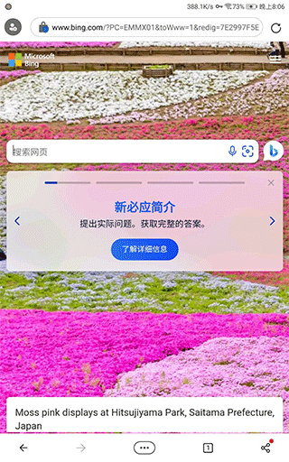 微软必应搜索引擎APP