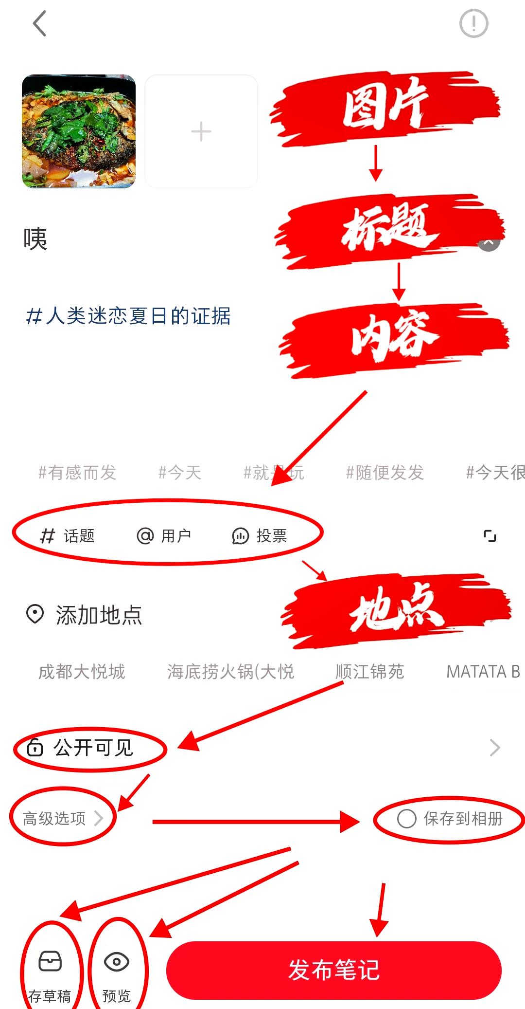 小红书PC电脑客户端