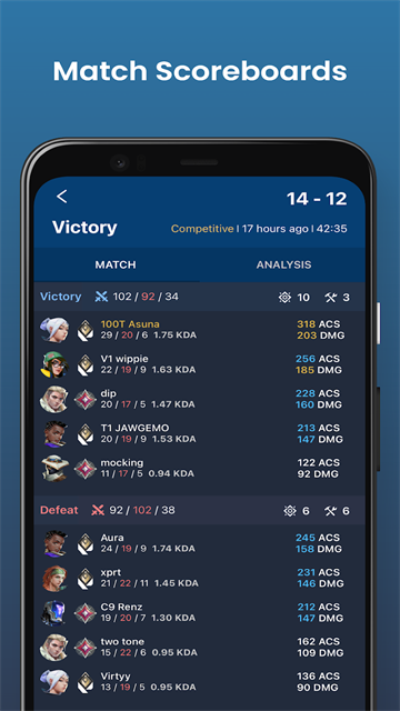 Valkingg瓦罗兰特战绩查询助手