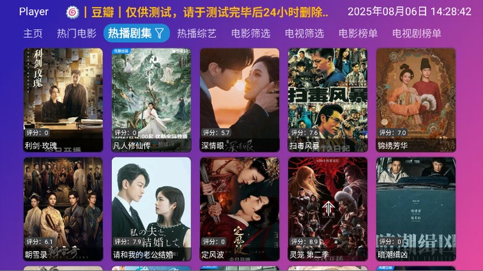 Player播放器TV版