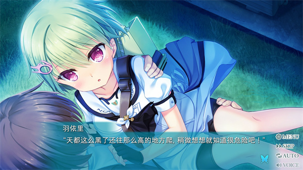 夏日口袋安卓直直装版