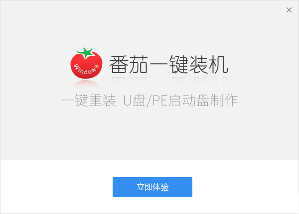 大番茄一键重装系统2026