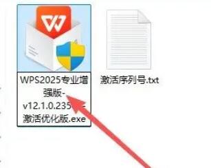 WPS2025专业增强版[激活优化版]