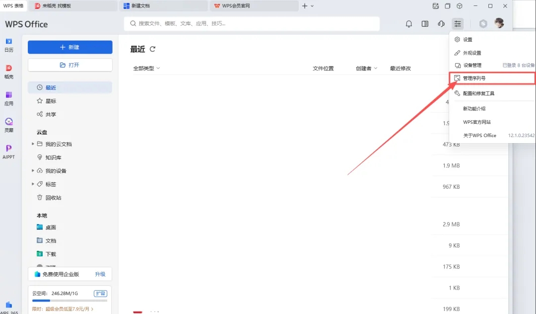 WPS2025专业增强版[激活优化版]