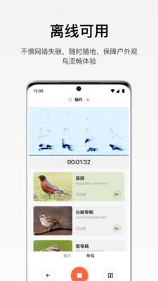 懂鸟(全球鸟类识别)