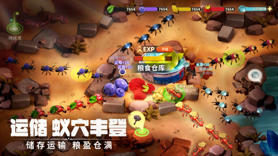 蚁族崛起无限资源版