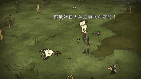 饥荒灵幻版2025游戏截图16