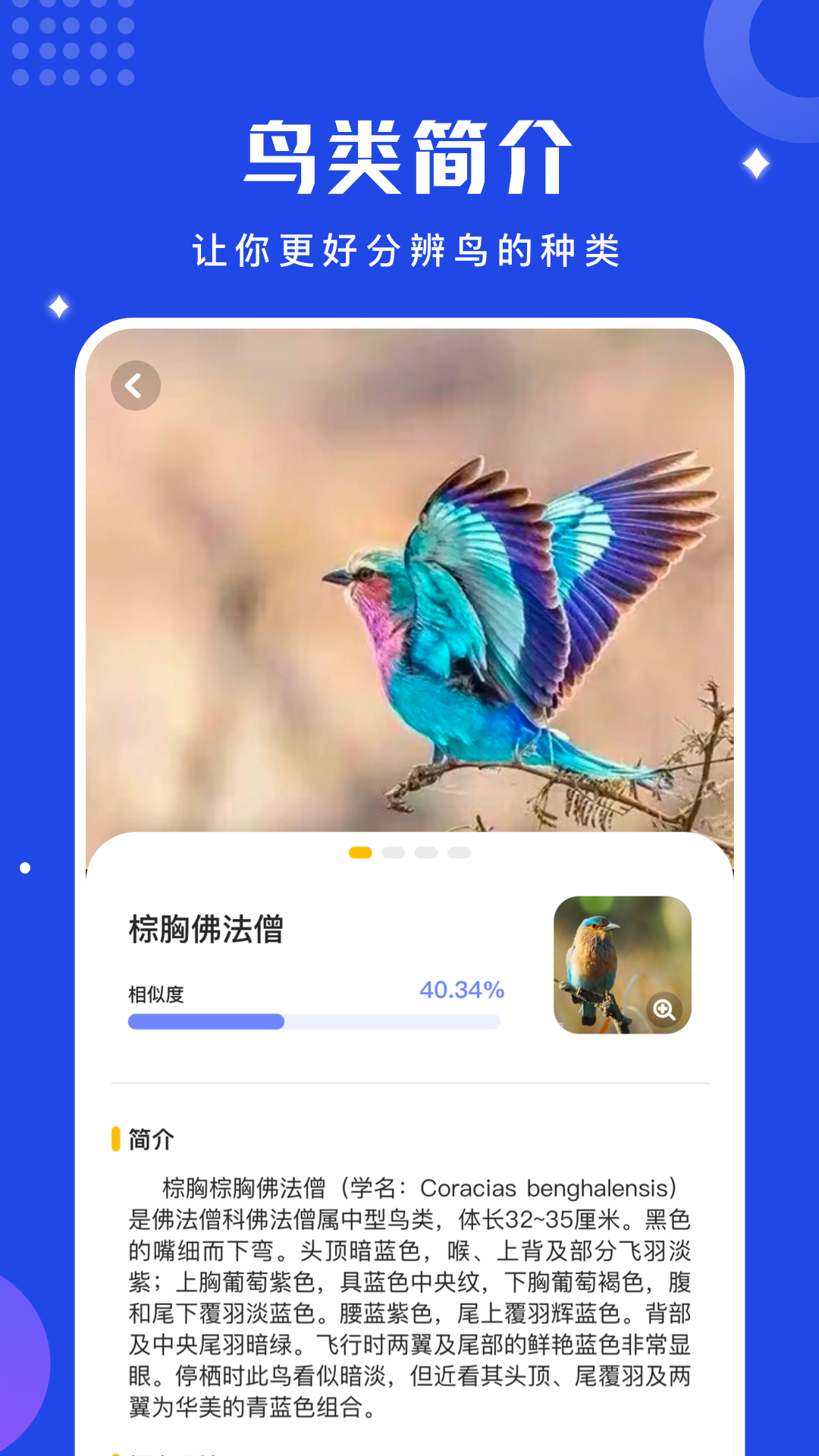 鸟语语言翻译器官方版