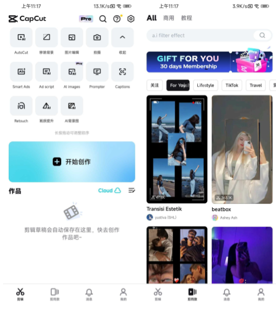 CapCut(剪映国际版)高级版