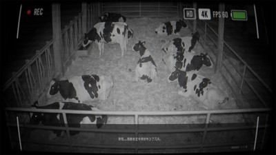 寻找伪牛手机版